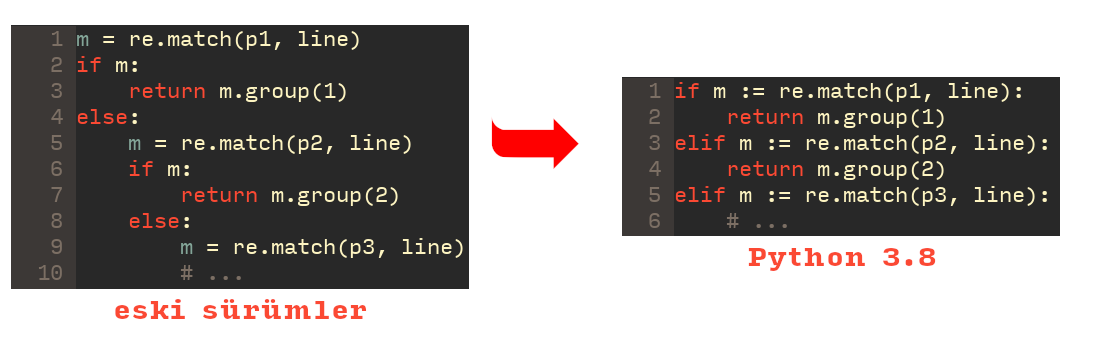 python38-walrus-fixed.png