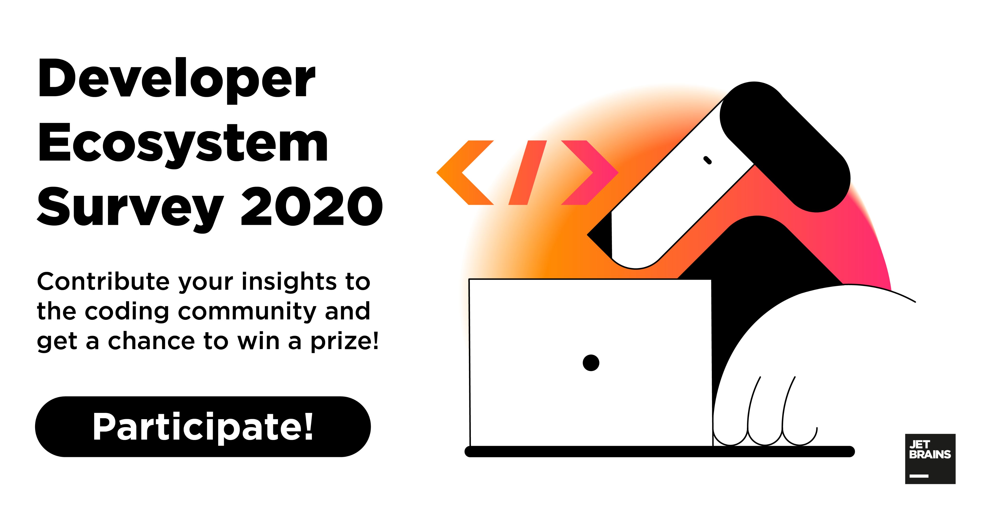 jetbrains-anket.png