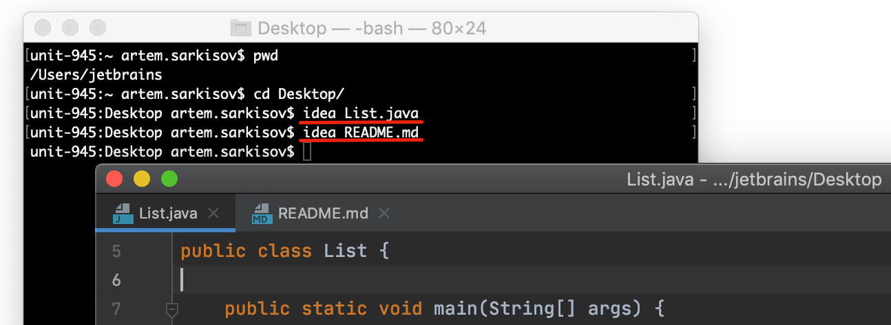 intellij-idea-lightedit-terminal.png
